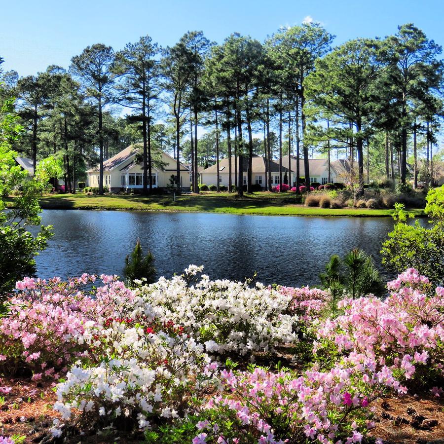 Brunswick Plantation And Golf Resort 칼라바쉬 외부 사진